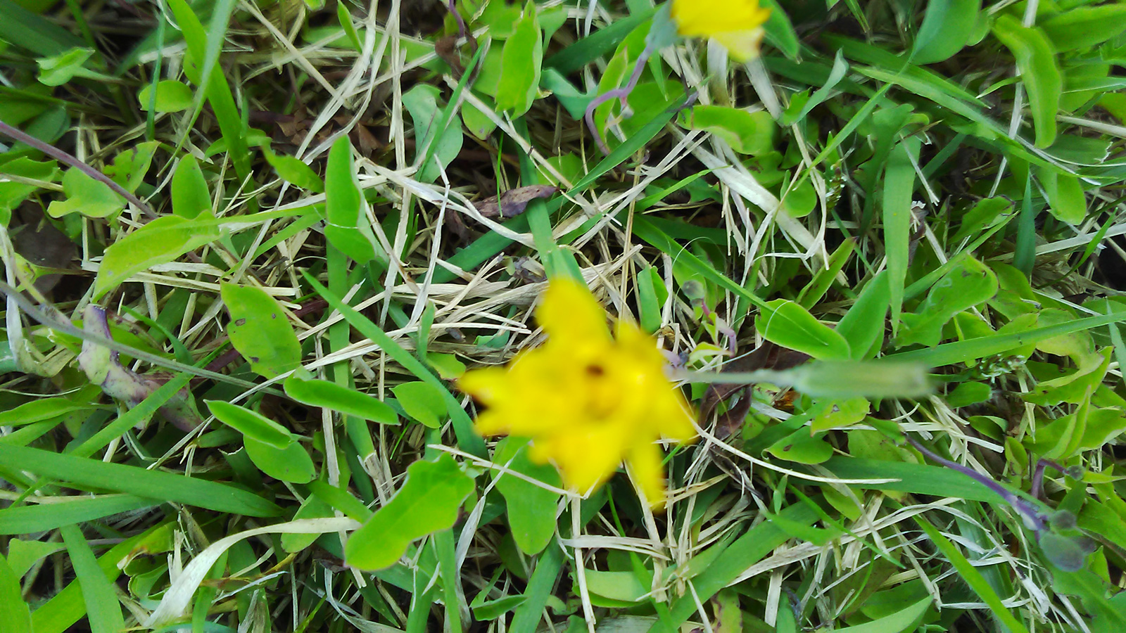 5月8日　比叡山にて