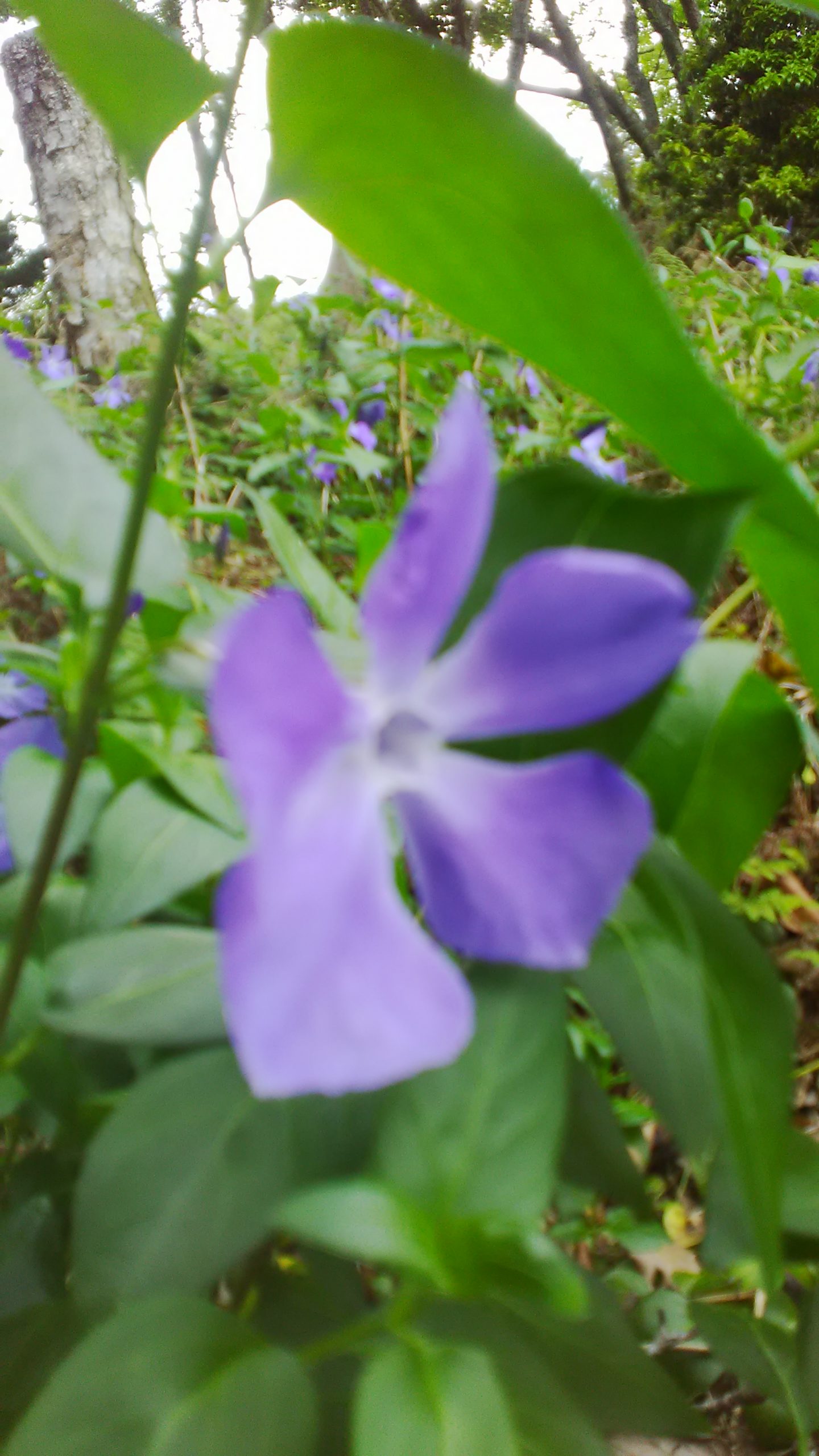 5月12日　京都にて